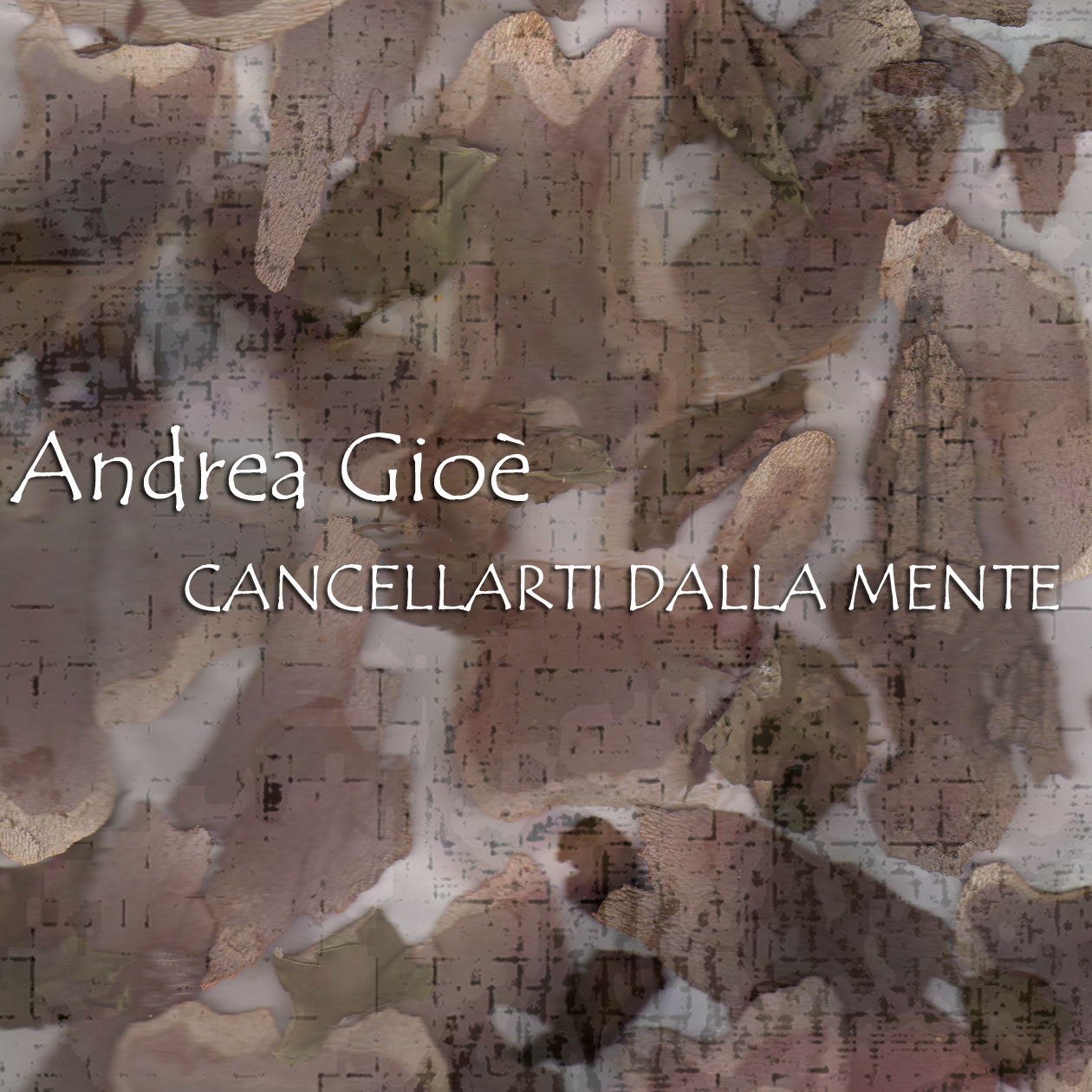Cancellarti dalla mente